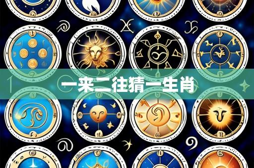 一来二往猜一生肖