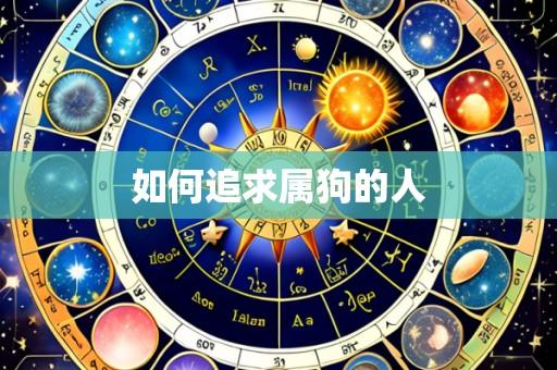 如何追求属狗的人