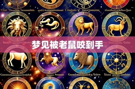 梦见被老鼠咬到手