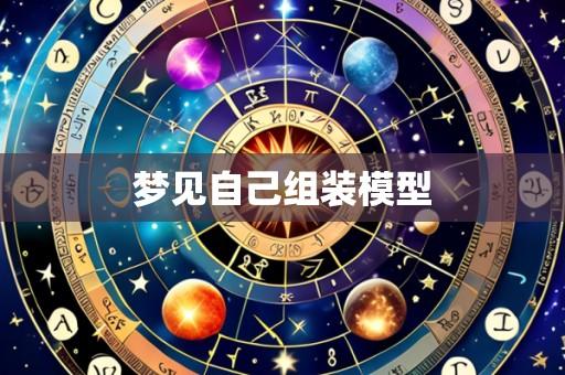 梦见自己组装模型