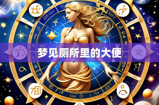 梦见厕所里的大便
