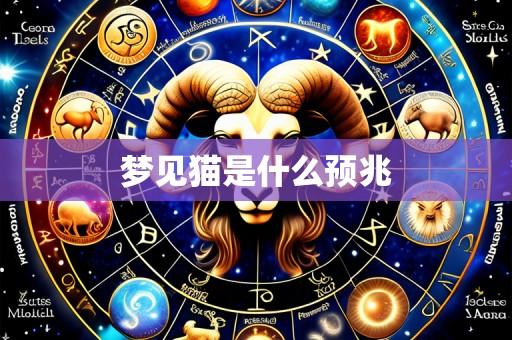 梦见猫是什么预兆