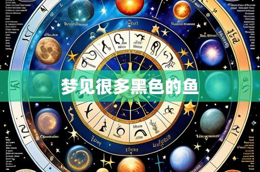 梦见很多黑色的鱼