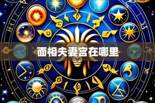 面相夫妻宫在哪里