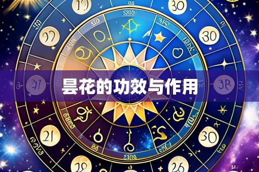 昙花的功效与作用