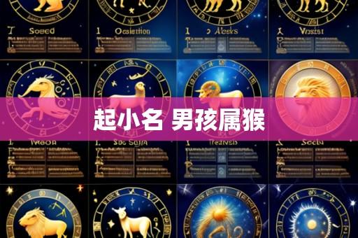 起小名 男孩属猴