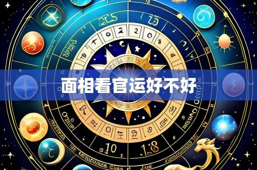 面相看官运好不好