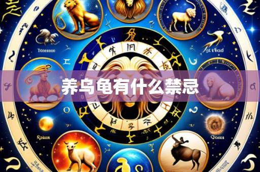 养乌龟有什么禁忌
