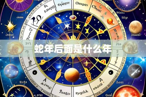 蛇年后面是什么年