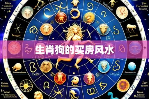 生肖狗的买房风水