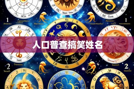 人口普查搞笑姓名