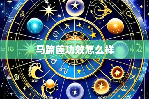 马蹄莲功效怎么样