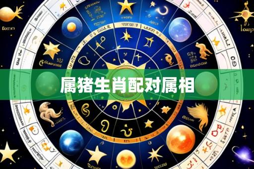 属猪生肖配对属相