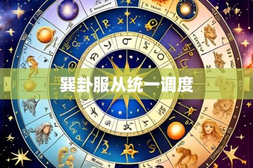 巽卦服从统一调度