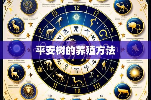 平安树的养殖方法