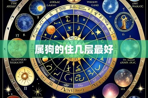 属狗的住几层最好