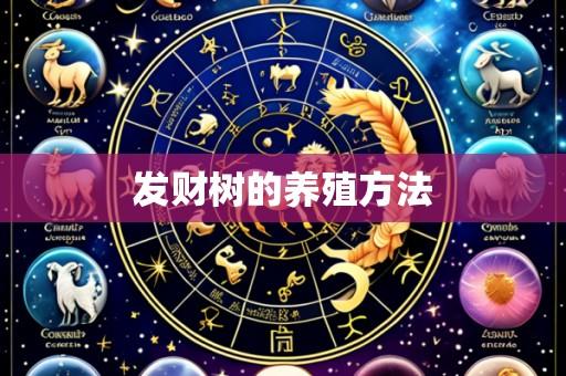 发财树的养殖方法