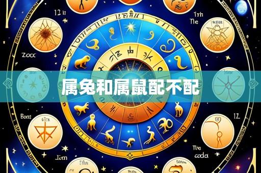 属兔和属鼠配不配