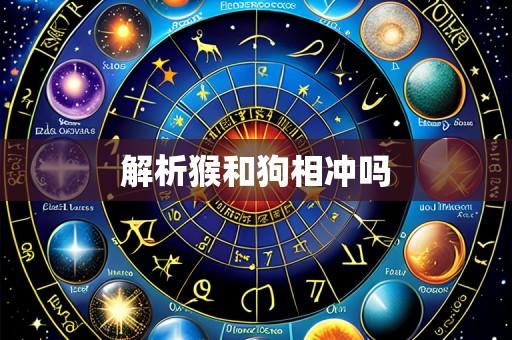 解析猴和狗相冲吗