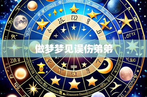 做梦梦见误伤弟弟