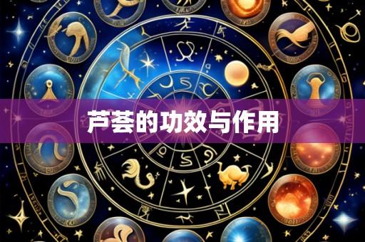 芦荟的功效与作用