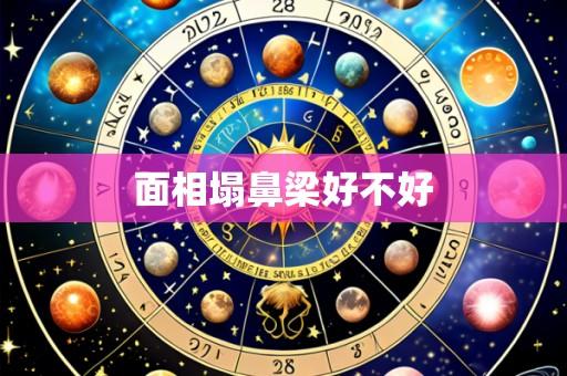 面相塌鼻梁好不好
