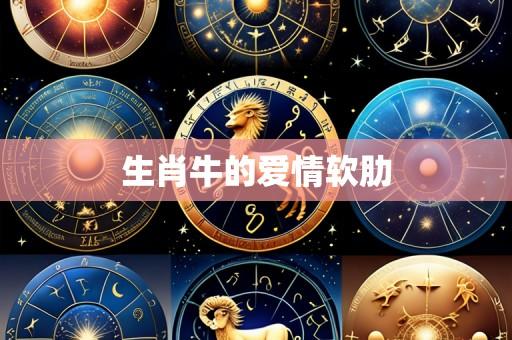 生肖牛的爱情软肋