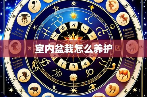 室内盆栽怎么养护
