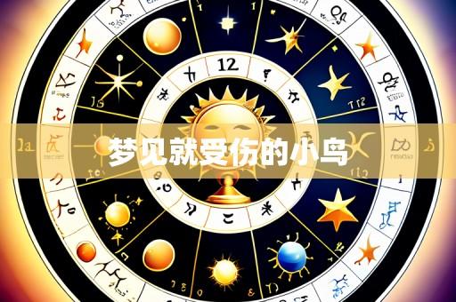 梦见就受伤的小鸟