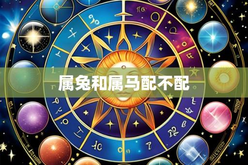 属兔和属马配不配