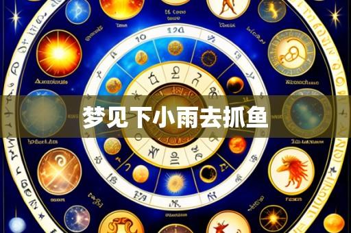 梦见下小雨去抓鱼