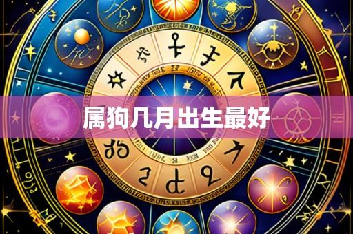 属狗几月出生最好