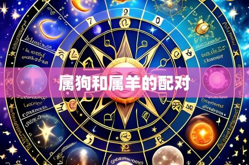 属狗和属羊的配对
