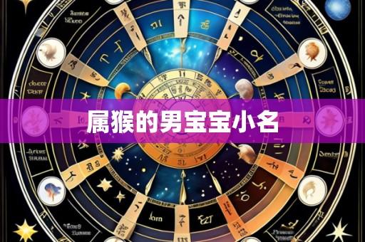 属猴的男宝宝小名