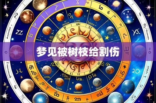 梦见被树枝给割伤