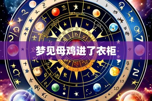 梦见母鸡进了衣柜