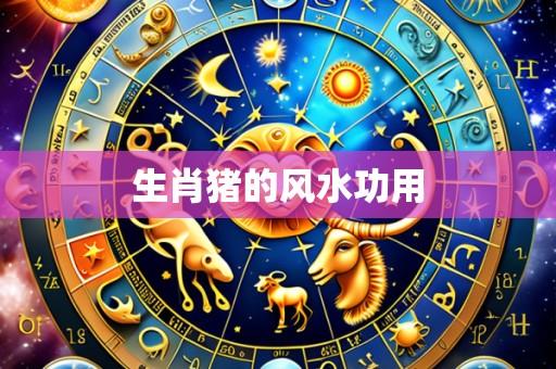生肖猪的风水功用
