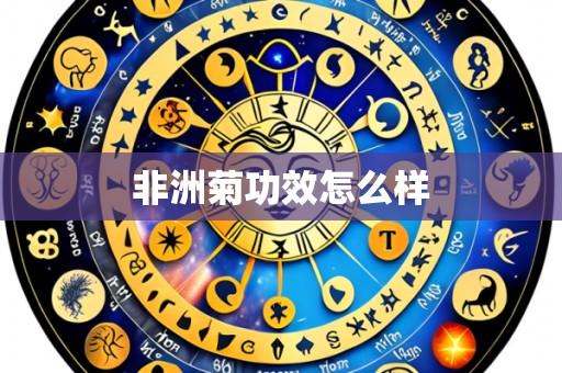 非洲菊功效怎么样