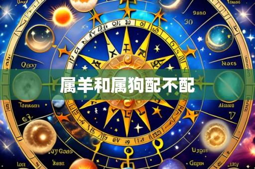 属羊和属狗配不配