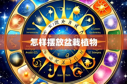 怎样摆放盆栽植物