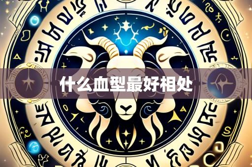 什么血型最好相处