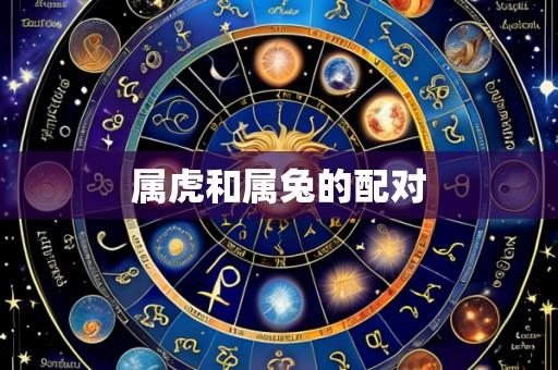 属虎和属兔的配对