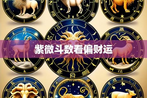 紫微斗数看偏财运