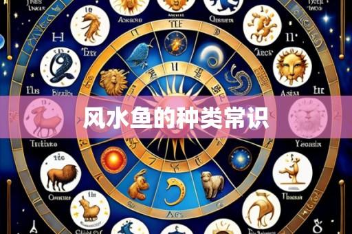 风水鱼的种类常识