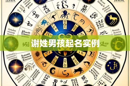 谢姓男孩起名实例