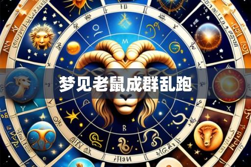 梦见老鼠成群乱跑