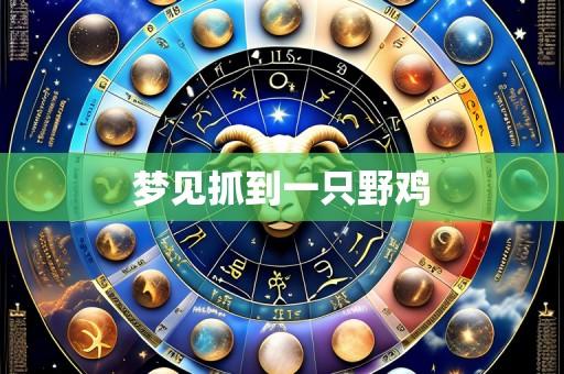 梦见抓到一只野鸡