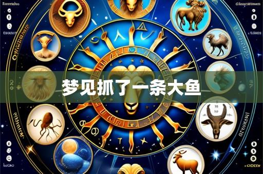 梦见抓了一条大鱼