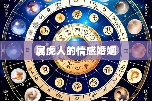 属虎人的情感婚姻