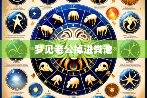 梦见老公掉进粪池